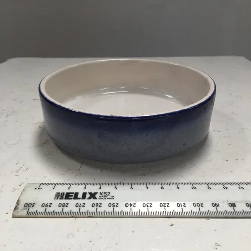 Shallow Blue Speckled Bowl 