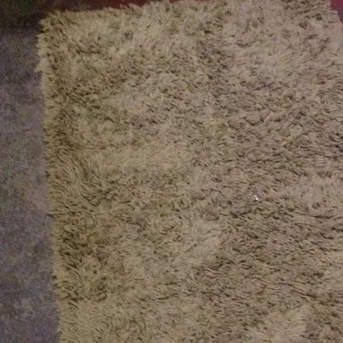 green pile area rug
