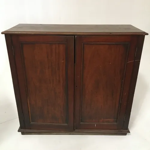 1900s Dark wood floor standing cabinet cupboard with three shelves