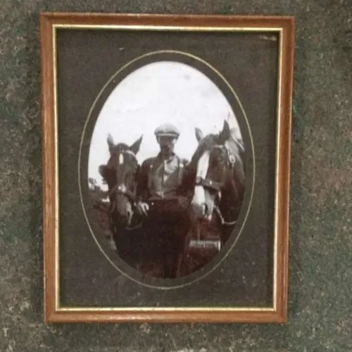 Black and white photo of man with horses