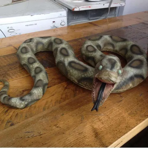 Large fake snake