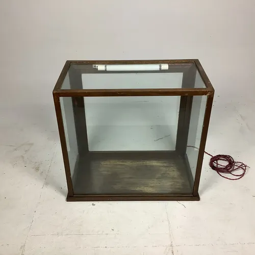 Glass Display Case with Wood Frame