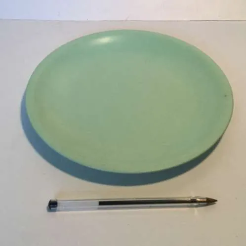 pale green melamine circular dinner plate