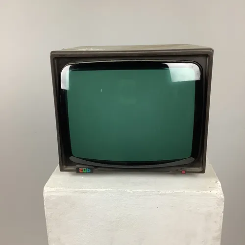 1980s Microvitec Cub 14