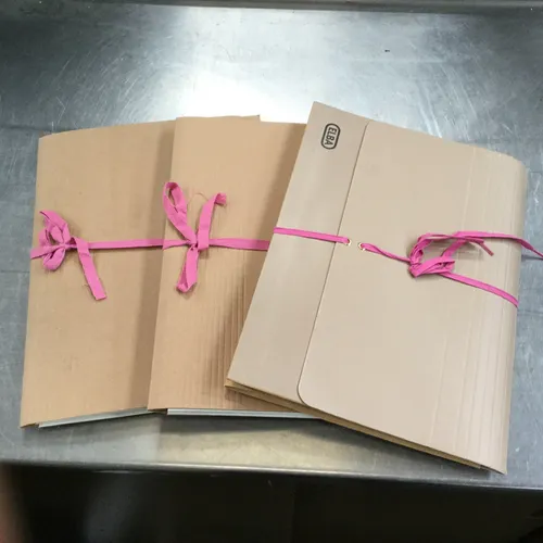 Card Folder with Pink Ribbon