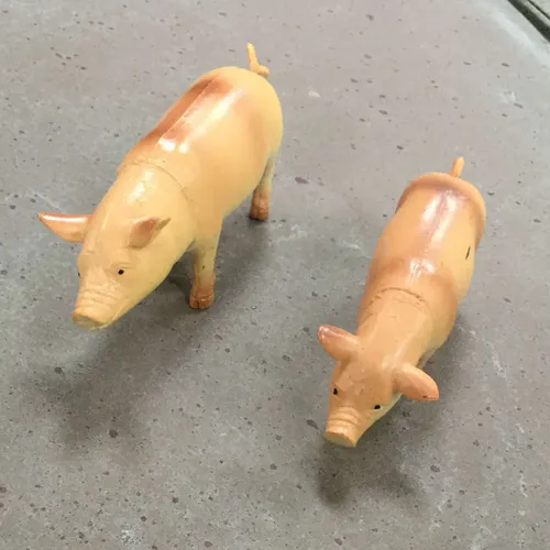 Toy plastic pigs