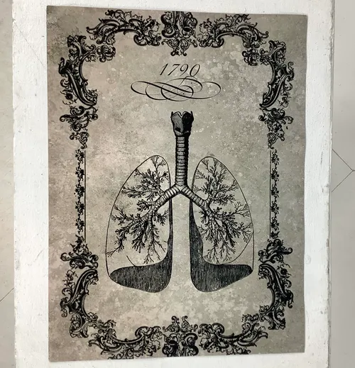 Black and Grey 1790 Lung Poster