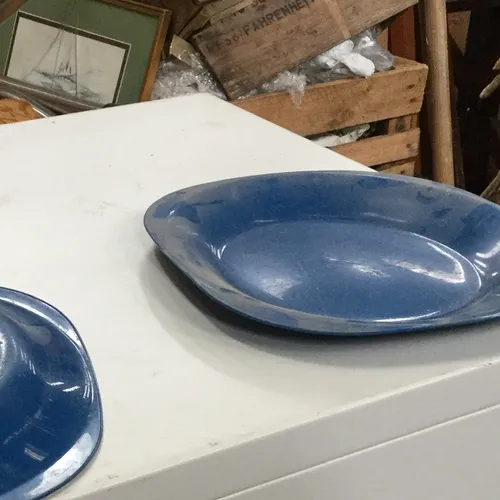 Blue Plastic Plate