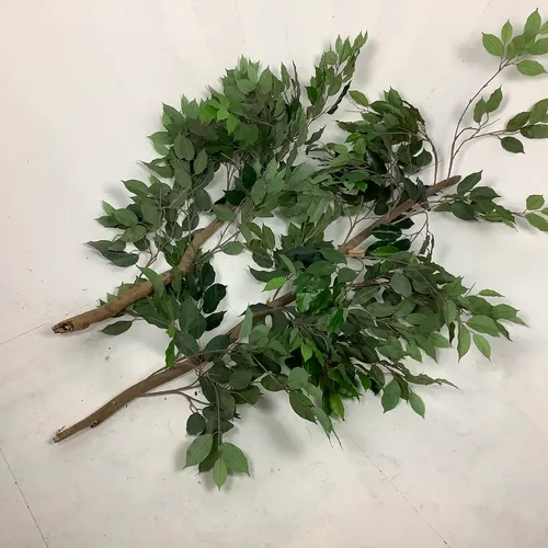 Artificial Plant Foliage with Broken Stem