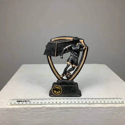 Women’s Football Trophy/Award