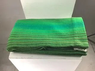 Green Striped Curtain