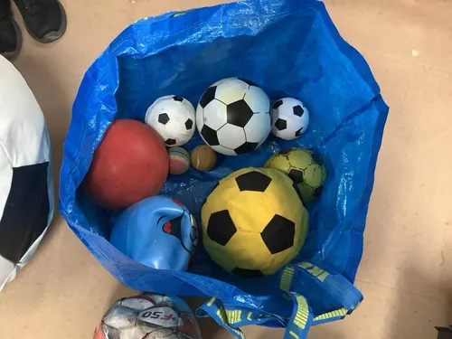 Various Sports Balls