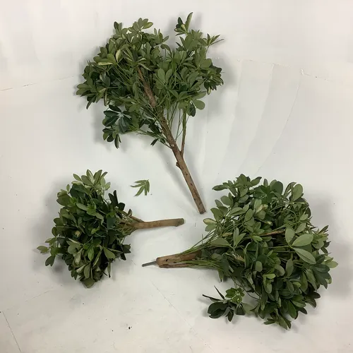 Short Stem Artificial Plant Foliage