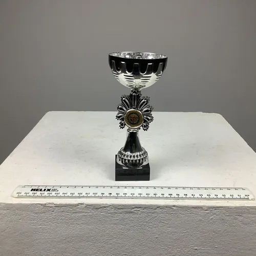 Silver Cup Trophy/Award