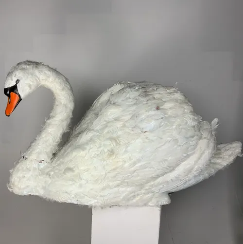 Giant Feathered Swan 140cm x 75cm