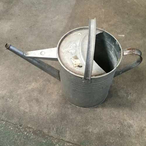 Galvanised Watering Can