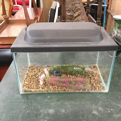 Glass Fish Tank Aquarium with Black Plastic Lid