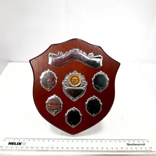Freestanding Wooden Shield Trophy