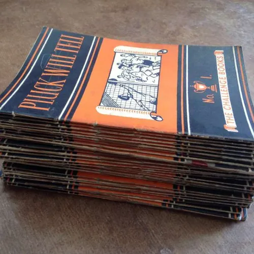 Pluck Will Tell books, book series about children and sports published in 1951