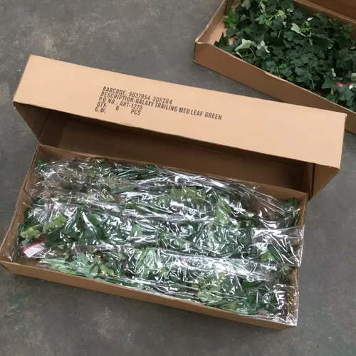 Galaxy Trailing Medium Leaf Green - 6 Pieces