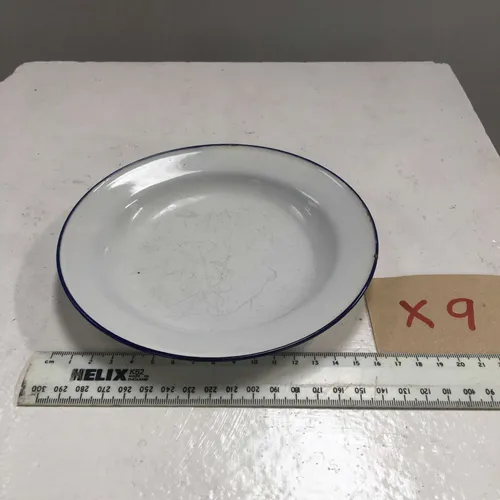 White with Blue Trim Enamel Side Plates