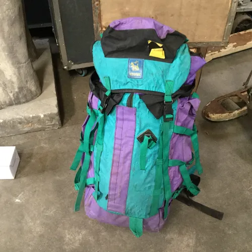Purple and Turquoise Backpack 