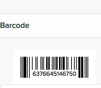 Metal Stove Top Kettle with Round Handle