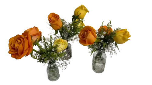test 1