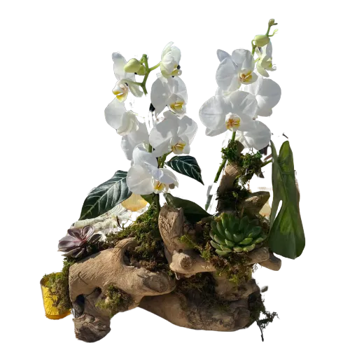 test 5