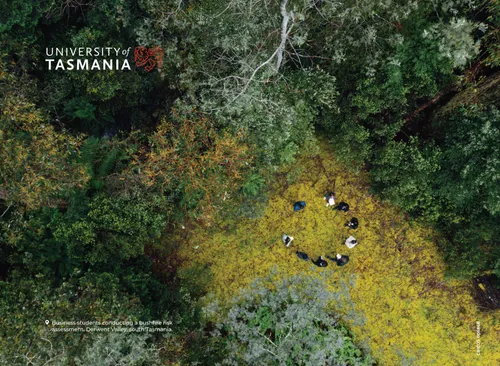 Derwent - 3m media wall & frame