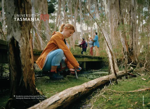 Wetlands - 3m media wall & frame