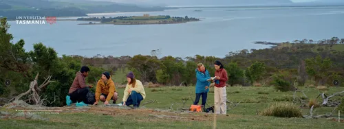 Dunnalley - 6m media wall & frame