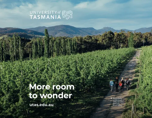 (3m) Tagline: More room to wonder