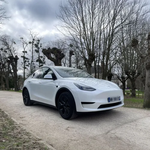 Tesla Model Y RWD