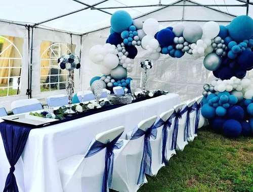 PLASTIC FOLDING CHAIR WITH COVER AND SASH (CHAIR + COVER + SASH RENTAL)