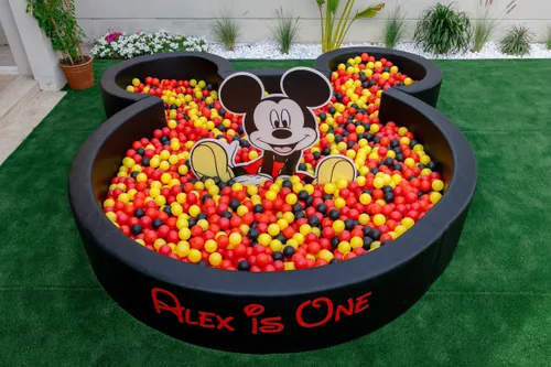 Mickey Mouse Ball Pit