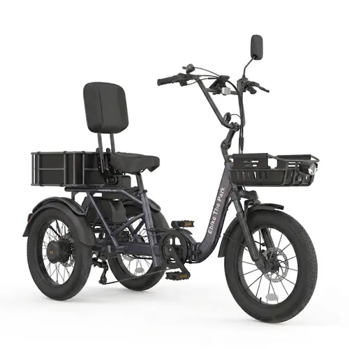 Fat Tire Electric Trike For Adults