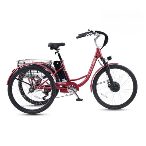 24 inch Electric Trike for Adults 