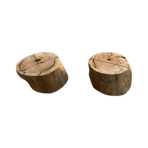 Name Tag Logs