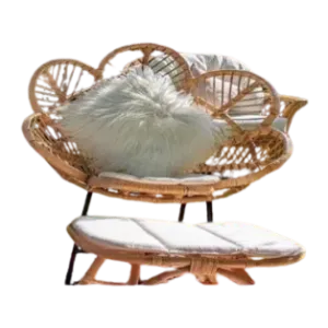 Peacock Chair