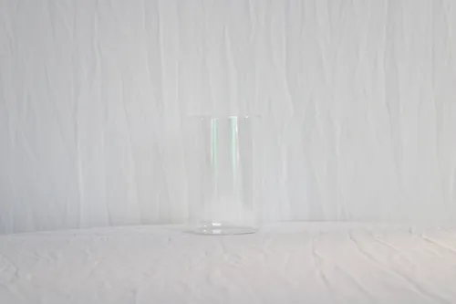Flower Vase 