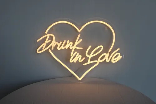 Drunk in love neon sign