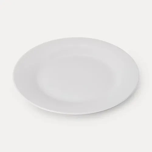 Dinner Plates 10 pack