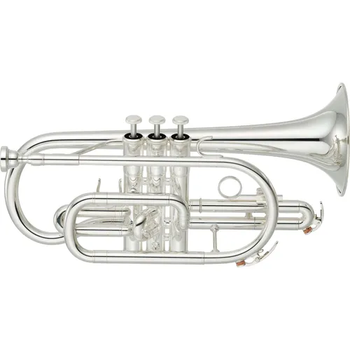 Cornet