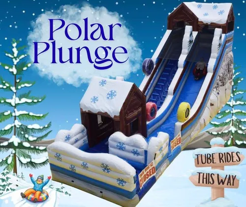 Polar Plunge
