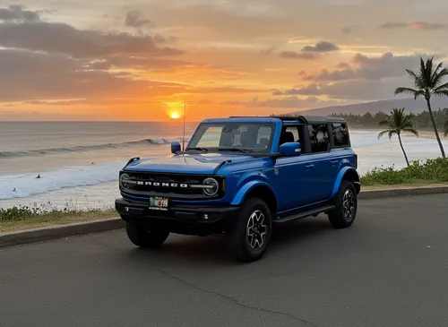 Blue Ford Bronco (Removable Hard-top)