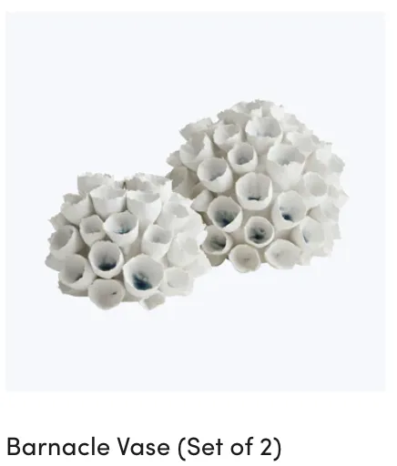 barnacle vases 