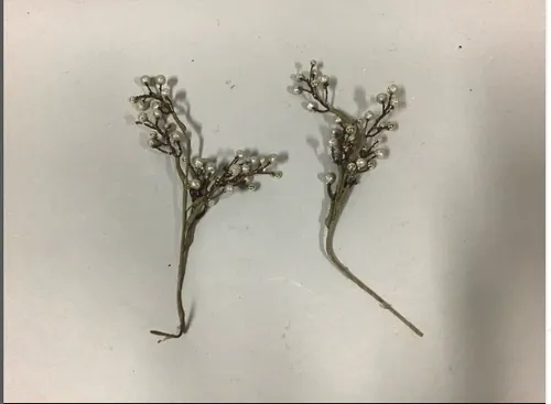 silver berrys on sticks