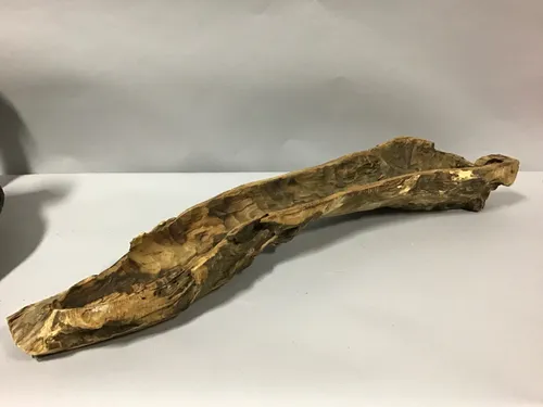 carved out long root bowl 