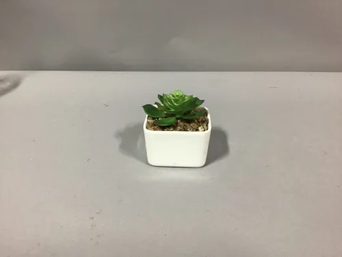 succulent white pot small 3.5 x2.5